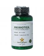 Probiotica met prebiotica gemberProbiotica8721321710264