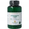 Liposomaal ijzer sterkVitamine multi8721321710400