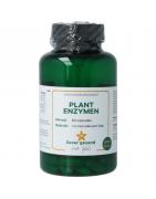 Plant enzymenOverig gezondheidsproducten8721321710240