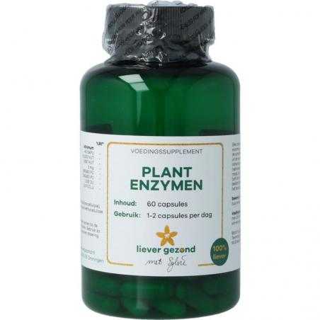 Plant enzymenOverig gezondheidsproducten8721321710240