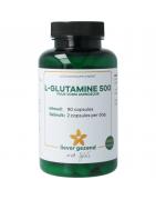 L-GlutamineAminozuren8721321710226