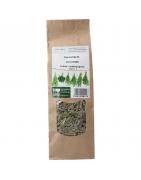 CitroengrasKruiden5409100000128