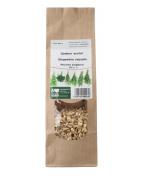 Gember wortelKruiden5409100000289