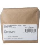 Lemongrass gemalen / serehKruiden8719265007311