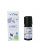 Ontspanning - etherische olieEtherische oliën/aromatherapie3486330117149
