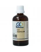 Ilex aquifolium bioFytotherapie8721302330214