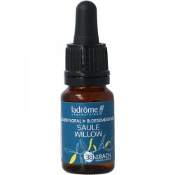 Drogistland.nl-Ladrome