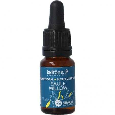Willow bioFytotherapie3486330010334