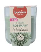 Geurglas 97/85 true scents rosemaryWaren8717847198501