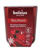 Geurglas 80/73 true glow merry momentsWaren8717847197825