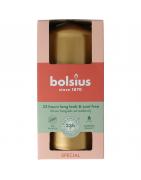 Stompkaars 120/58 golden orangeWaren8717847204714