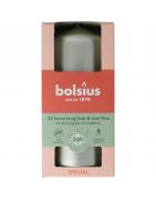 Stompkaars 120/58 white silverWaren8717847204707