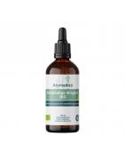 Driebladige wingerd - Parthenocissus tricuspidataOverig gezondheidsproducten8721398474069