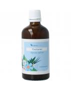 Agnus castus tincturenOverig gezondheidsproducten8711224009039