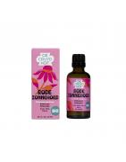 Echinacea purpurea hrb/rode zonnehoed kruid bioOverig gezondheidsproducten8713286359183