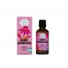 Echinacea purpurea hrb/rode zonnehoed kruid bioOverig gezondheidsproducten8713286359183