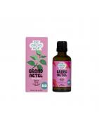 Urtica dioica hrb/brandnetel kruid bioOverig gezondheidsproducten8713286353006