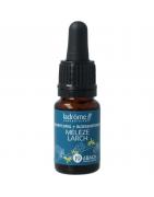 Bloemenessence Larch bioFytotherapie3486330010211