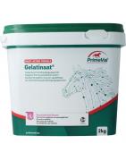 Gelatinaat paardDieren8711231122080