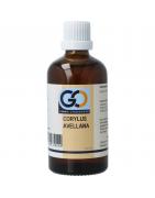 Corylus avellana bioFytotherapie8721302330542