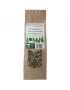 Moerasspirea kruidKruiden5409100000593