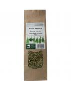 Viooltje driekleurigKruiden5409100000999