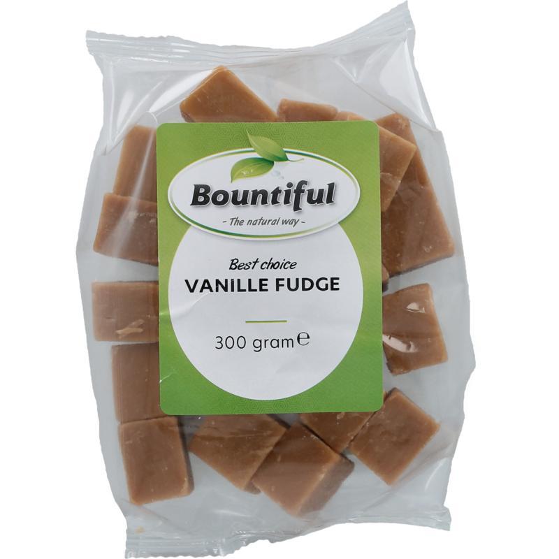 Fudge vanilleVoeding8718503321738