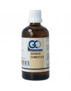 Sorbus domestica bioFytotherapie8721302330665