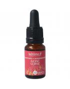 Gorse bioFytotherapie3486330010365