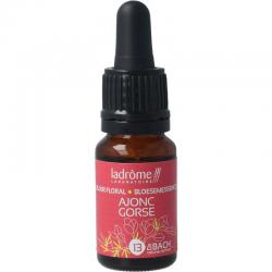 Immuno forteFytotherapie8713286018776