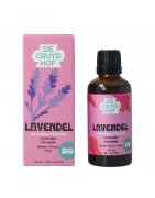 Lavendula officinalis flor/lavendel bioOverig gezondheidsproducten8713286351026