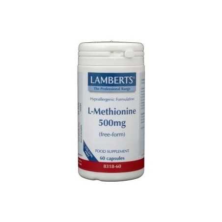 L-Methionine 500mgAminozuren5055148411008