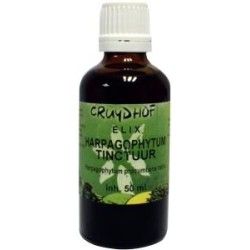 Ginkgo bilobaFytotherapie8719128693026