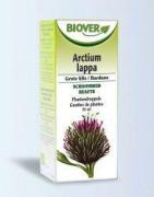 Lappa arctium tinctuur bioFytotherapie5412141002273