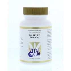 Gebufferde Vitamine CVitamine enkel8717438690056