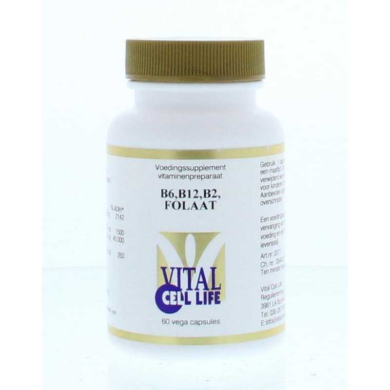 Vitamine B6/B12/B2 folaatVitamine enkel8718053190228