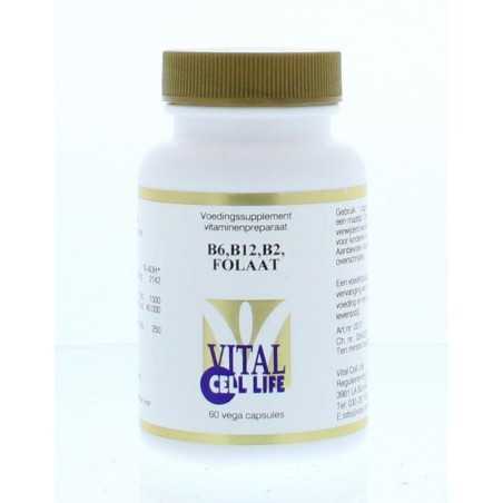 Vitamine B6/B12/B2 folaatVitamine enkel8718053190228