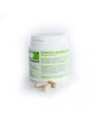 Ginkgo biloba CMN plusOverig gezondheidsproducten8715848543214