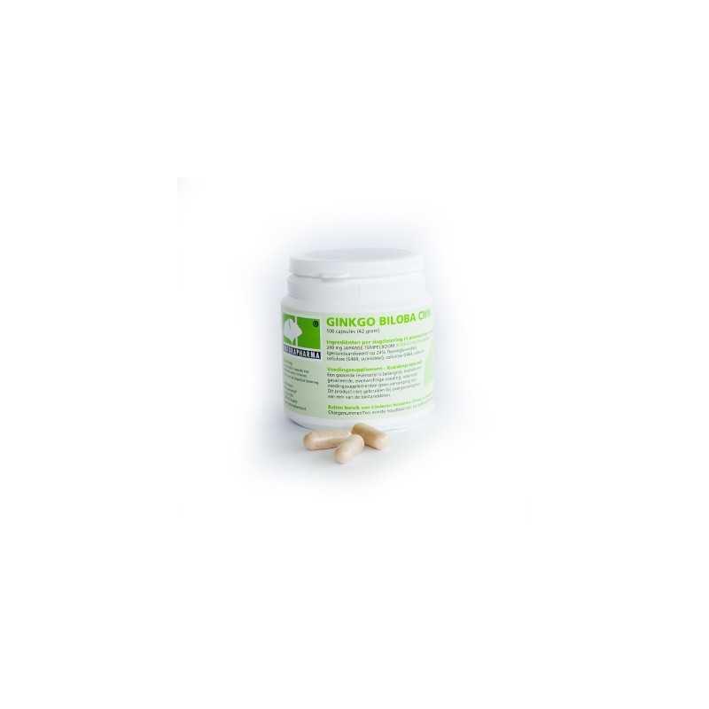 Ginkgo biloba CMN plusOverig gezondheidsproducten8715848543214