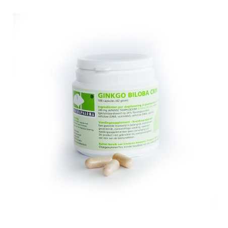 Ginkgo biloba CMN plusOverig gezondheidsproducten8715848543214