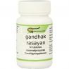 Gandhak rasayanAyurveda8717496080295