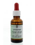 Pinasnas nasal dropsAyurveda8717496080622