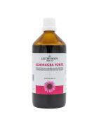 Echinacea forteFytotherapie8712053712282