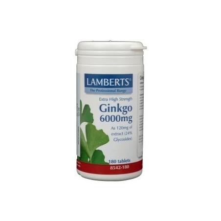 Ginkgo 6000Fytotherapie5055148404017