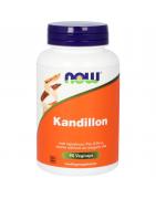 KandillonOverig gezondheidsproducten733739101495