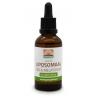 Vegan liposomaal CBD 0.5mg & melatonine 0.29mgOverig gezondheidsproducten8717677968992