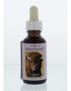 Buffalo (buffel)Etherische oliën/aromatherapie8717624994043