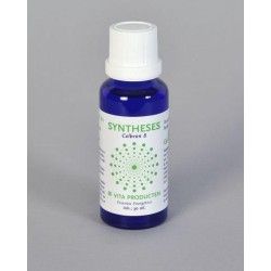 Detox formule levercomplexOverig gezondheidsproducten8717473094376