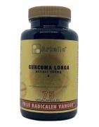 Curcuma longa extractOverig gezondheidsproducten8717472405937