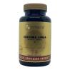 Curcuma longa extractOverig gezondheidsproducten8717472405937